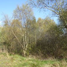 Herrschaftliches Moor