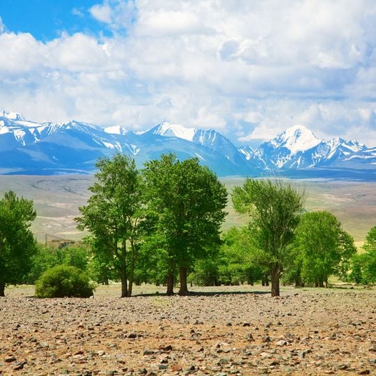 Montagnes dorées de l'Altaï