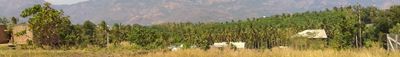 Panoramic View 1