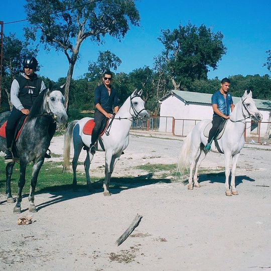 نادي الفروسية