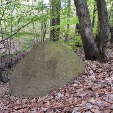Glacial erratic rock in Dahlener Heide