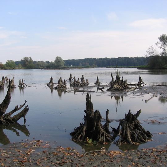 Nature Reserve Kotvice