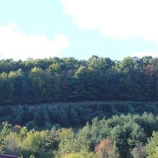 Canisteo Living Sign