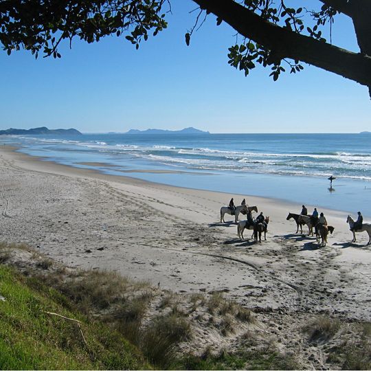 Te Ārai Regional Park