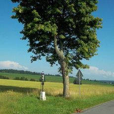 Kříž jižně od Vlkosovic