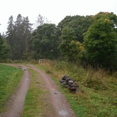 Посадки клена, пихты, сирени, ягодных кустарников (Сортавальское г.п.)