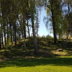 Schjongshaugen eller Buskhaugen