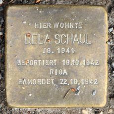 Bela Schaul