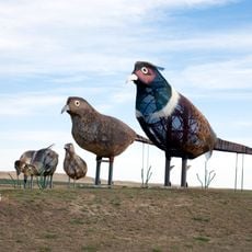 Pheasants on the Prairie