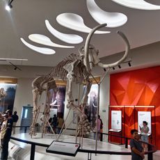 Instituto Politécnico Nacional Unidad Profesional Adolfo López Mateos