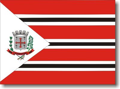 Flag 0