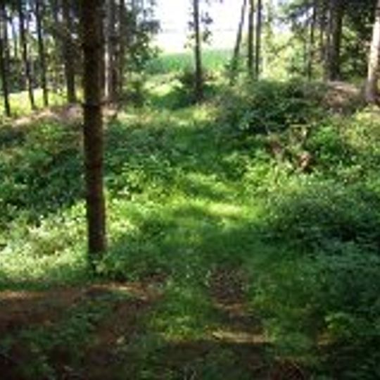 Burgstall Nößlbach