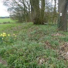 Ravensdale deer park, lodge, mill and fishpond