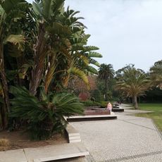 Conjunto arbóreo em Chão da Tapada - Parque de Palmela