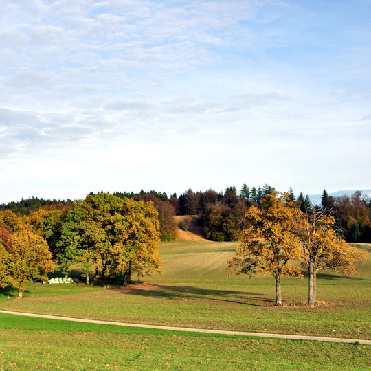 Moräne zwischen Frieding und Andechs