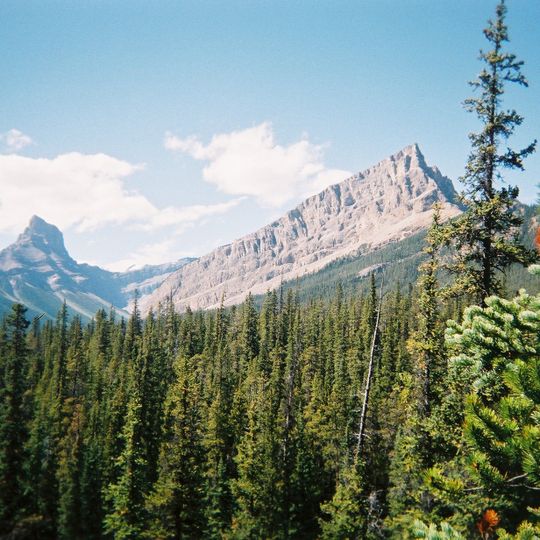 White Goat Wilderness Area