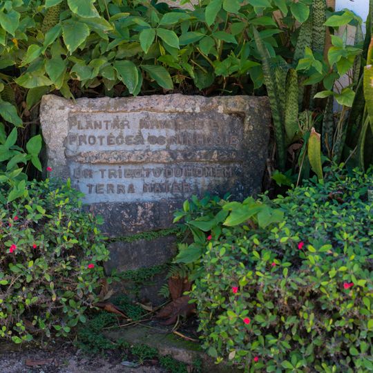 Marco de Tributo à Árvore II