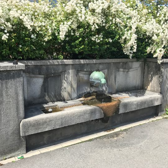 Brunnen Hotel Rigiblick