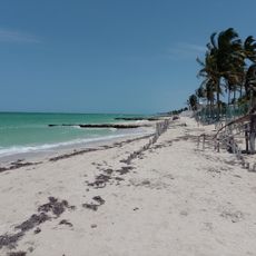Playa Chuburna Puerto