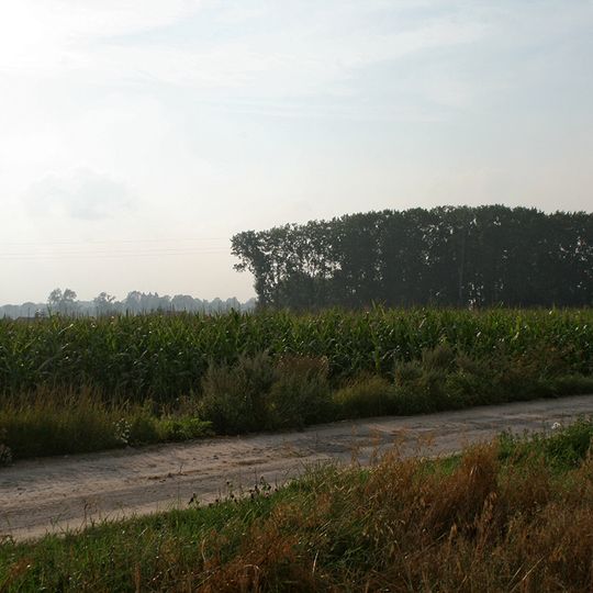 New Jewish Cemetery in Markuszów