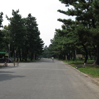 Hamadera Park