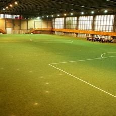 Dynamo Manage