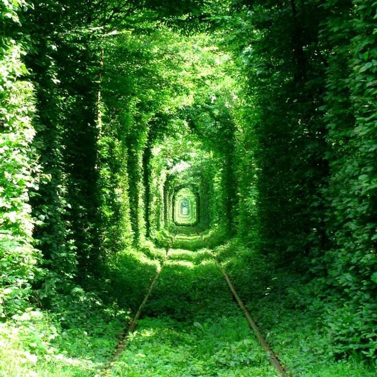 Tunnel der Liebe