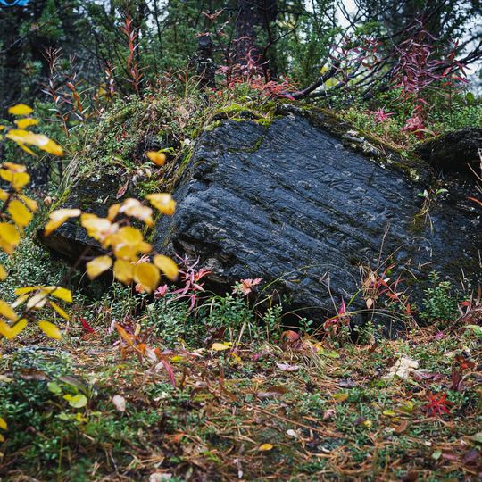 Käymäjärvi Inscriptions