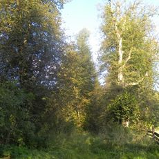 Kościół ewangelicki, ob. rzym.-kat. Matki Boskiej Królowej Polski