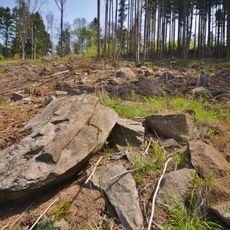 Kamenné proudy u Domašova