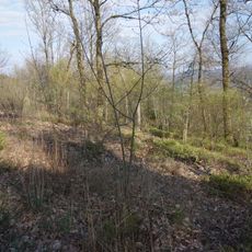 Niederwälder bei Visbeck