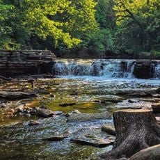 Waterfall Glen Forest Preserve