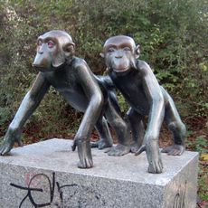 Chimpanzee children