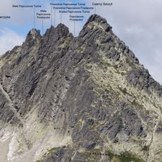 Wielka Papirusowa Turnia