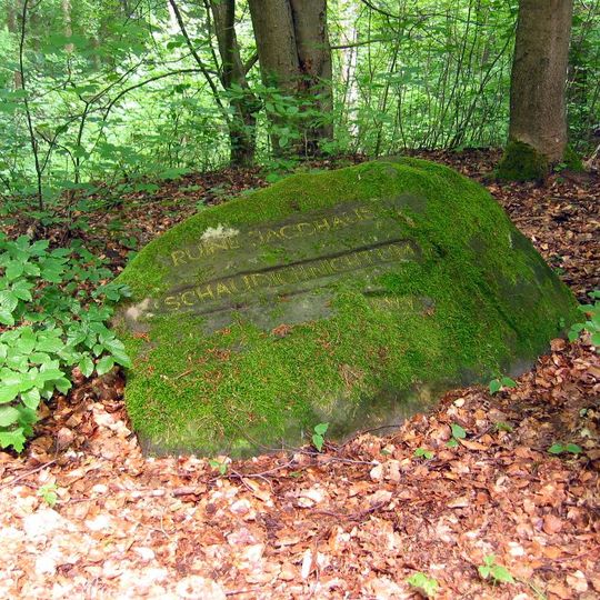 Ritterstein 270 "Ruine Jagdhaus Schaudichnichtum"