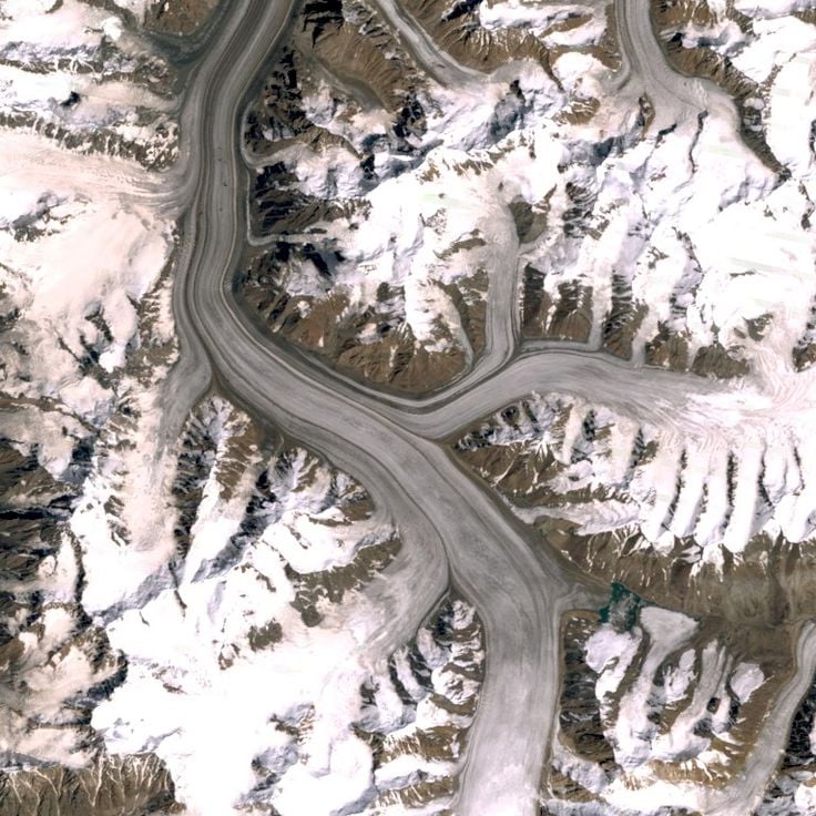 Fedtsjenkobreen