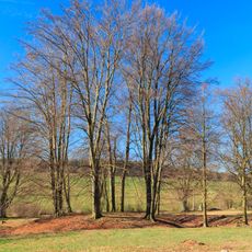 Žižkův stůl (tvrz)