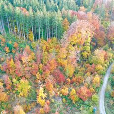 Cultural heritage D-1-8134-0006 in Münsing
