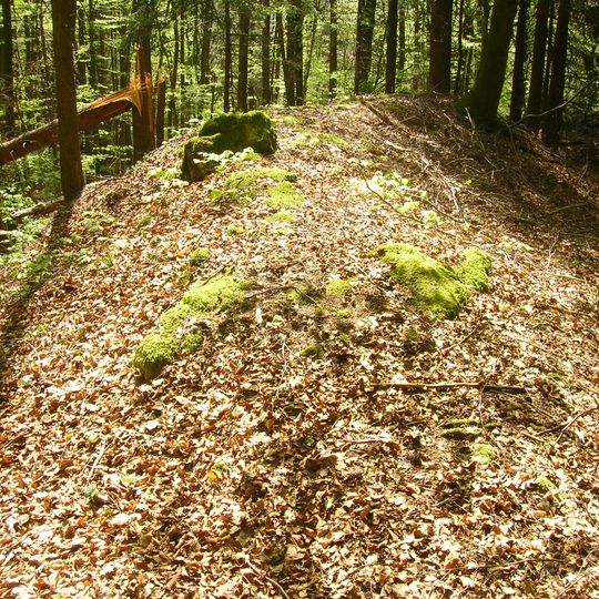 Abschnittsbefestigung Burggraf