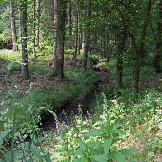 Naturschutzgebiet Schneppenthaler Bachtal und Mohlsbachtal