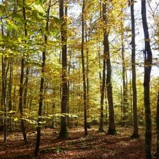 Normandie-Maine Regional Natural Park