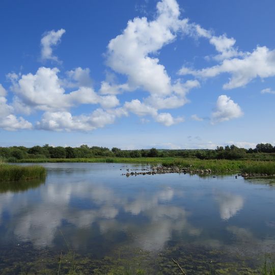 WWT Llanelli Wetland Centre