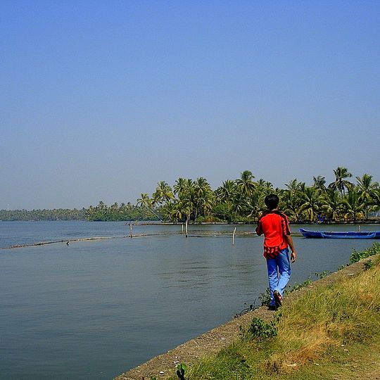 Kumbalangi