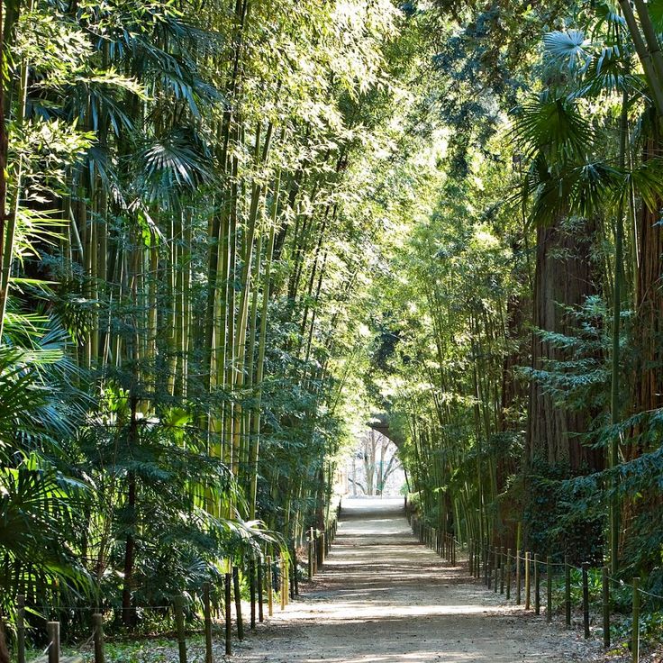 La Bambouseraie en Cévennes