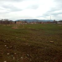 Ցենտրալնոե