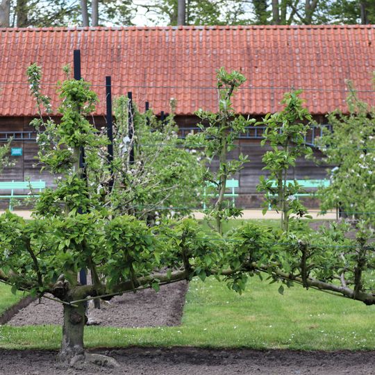 Museumtuin van Gaasbeek