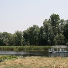 Zasavica