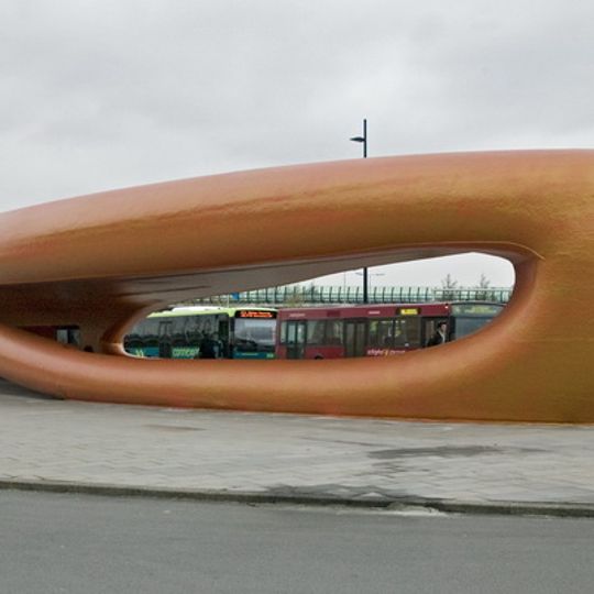 The Amazing Whale Jaw