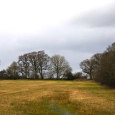Woodsides Meadow