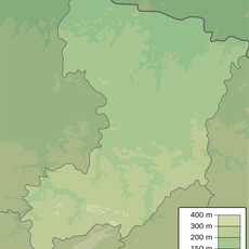 Вікові дерева сосни